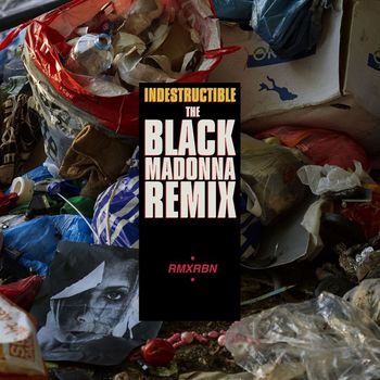 Robyn - Indestructible (The Black Madonna Remix)