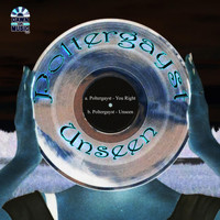 Poltergayst - Unseen
