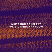 White Noise Research, White Noise Therapy and Nature Sound Collection - White Noise Therapy For Studying And Focus