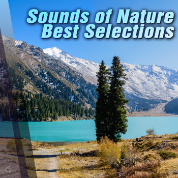 Various Artists - Sounds of Nature Best Selections