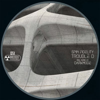 Spin Fidelity - Trouble D