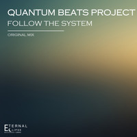 Quantum Beats Project - Follow The System