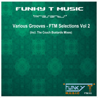 Dj Funky T - Various Grooves: FTM Selections, Vol. 2