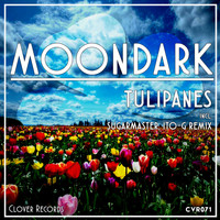 MoonDark - Tulipanes