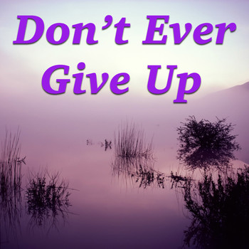 Various Artists - Don't Ever Give Up