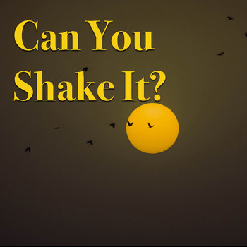 Various Artists - Can You Shake It?