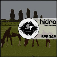 Hidro - Roam (Remixes)