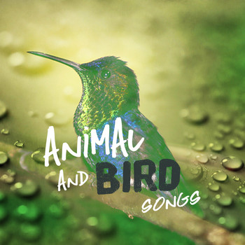 Animal and Bird Songs - Animal and Bird Songs