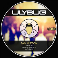 Sam Hudson - The People