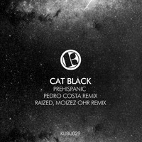 Cat Black - Prehispanic