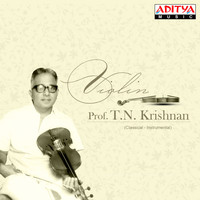 T. N. Krishnan - Violin Prof. T. N. Krishnan