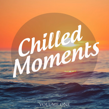 Various Artists - Chilled Moments, Vol. 1 (Collection Of Super Smooth Electronica)