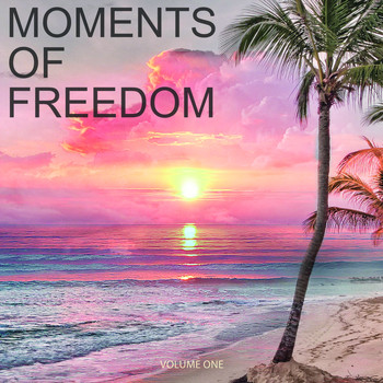 Various Artists - Moments Of Freedom, Vol. 1 (Your Musical Way Of Peace)