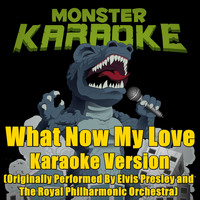 Monster Karaoke - What Now My Love (Originally Performed By Elvis Presley with The Royal Philharmonic Orchestra) [Karaoke Version]