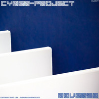 Cyber-Project - Reverse