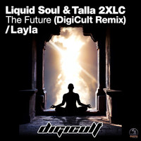 Digicult - Layla / The Future
