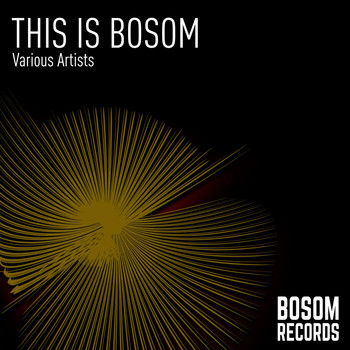 Various Artists - This Is Bosom