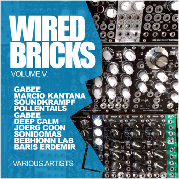 Various Artists - Wired Bricks, Vol. 5