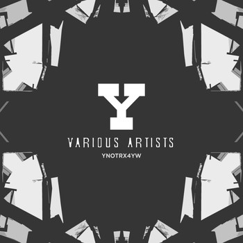 Various Artists - Ynot Records 4 Years, Pt. 1