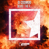 DJ Cosmoo - What the F...! (Explicit)