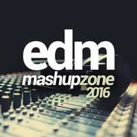 D'Mixmasters - EDM Mashup Zone 2016