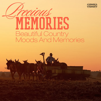 Various Artists - Precious Memories - Beautiful Country Moods And Memories
