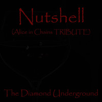 The Diamond Underground - Nutshell