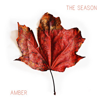 Amber - The Season