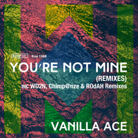 Vanilla Ace - You're Not Mine (Remixes)