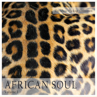 Varous Artists - The Music Package Collection: African Soul, Vol. 1