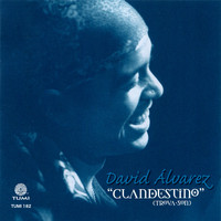 David Alvarez - Clandestino