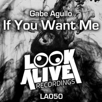 Gabe Agullo - If You Want Me EP