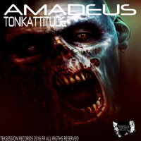 Tonikattitude - Amadeus