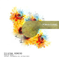 Silvina Romero - Push Of Reset