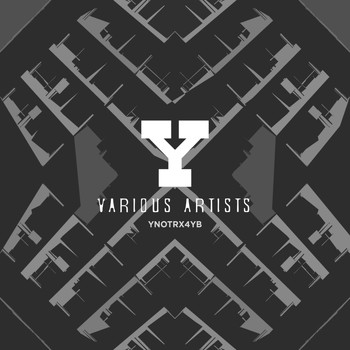Various Artists - Ynot Records 4 Years, Pt. 2