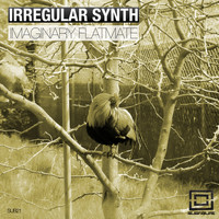 Irregular Synth - Imaginary Flatmate