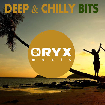 Various Artists - Deep & Chilly Bits