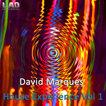 David Marques - House Experience, Vol. 1