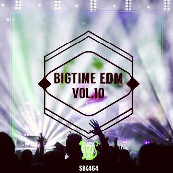 Various Artists - Bigtime EDM, Vol. 10