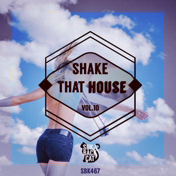 Various Artists - Shake That House, Vol. 10
