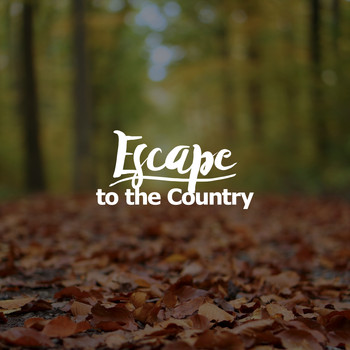 Forest Sounds - Escape to the Country