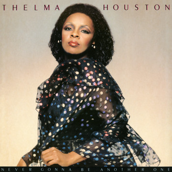 Thelma Houston - Never Gonna Be Another One