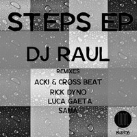 DJ Raul - Steps EP