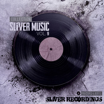 Various Artists - SLiVER Music Collection, Vol.9