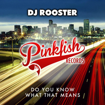 DJ Rooster - Do You Know What That Means