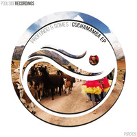 Profundo & Gomes - Cochamamba EP