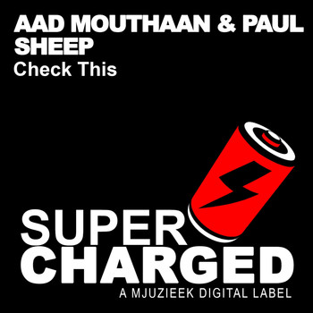 Aad Mouthaan & Paul Sheep - Check This
