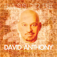 David Anthony - Bass Tribe