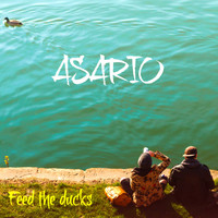 asario - Feed the Ducks