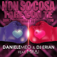 Daniele Meo & DJ Erian feat. Mihai - Non so cosa fare con te